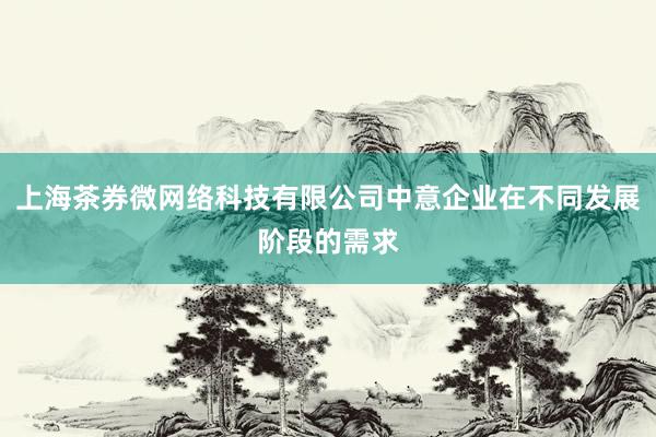 上海茶券微网络科技有限公司中意企业在不同发展阶段的需求